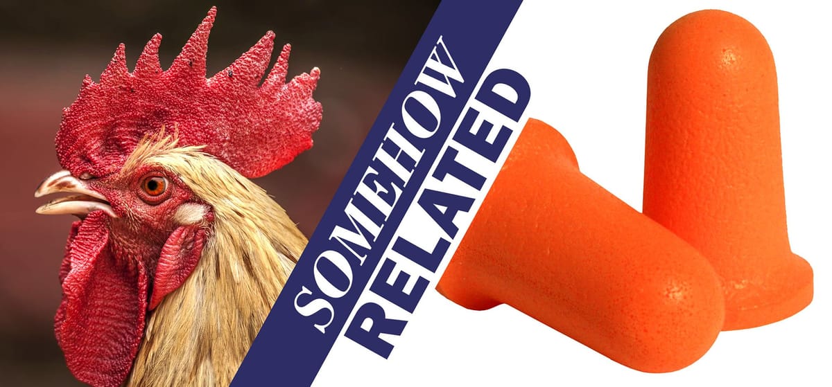 Roosters and Ear Plugs